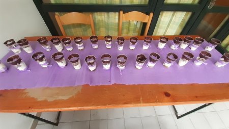 soutěžní tiramisu v našem podání