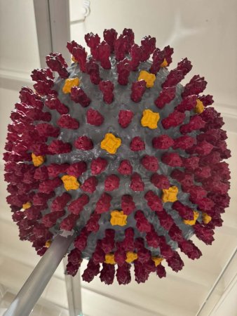 Model koronaviru