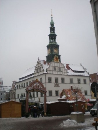 Prohlídka Pirny
